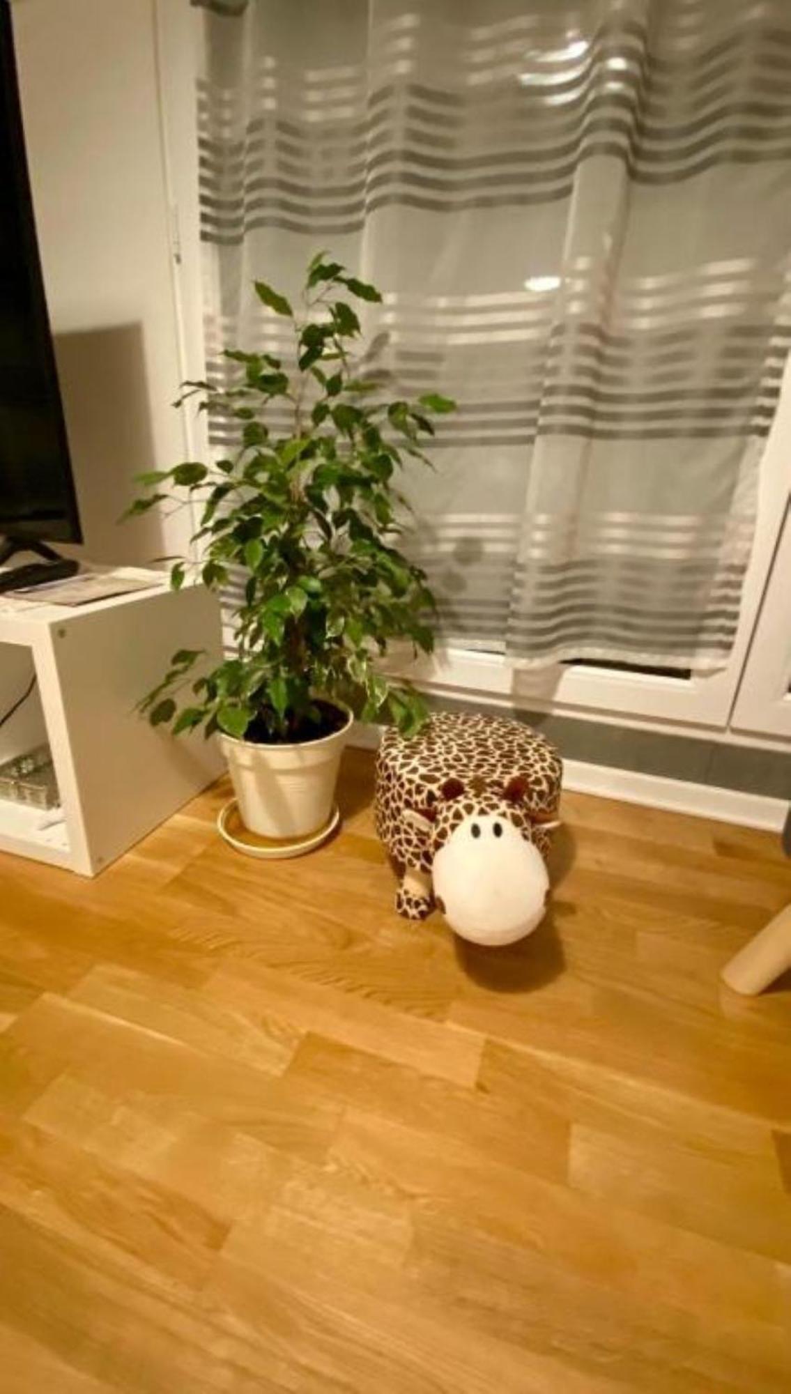 Schoenes Erwachen Im Frankfurter Penthouse Privat bolig Frankfurt am Main