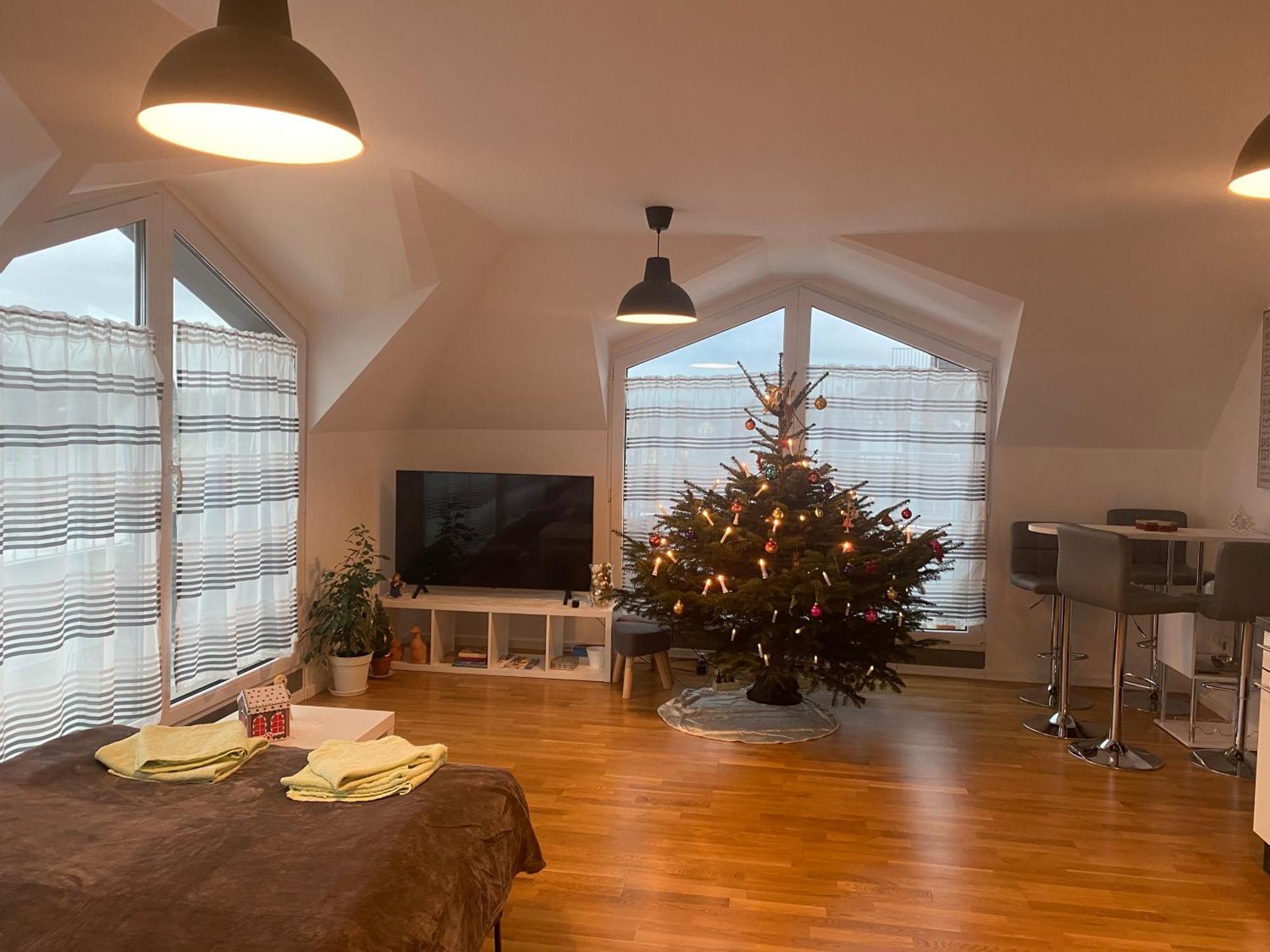 Homestay Schoenes Erwachen Im Frankfurter Penthouse Frankfurt am Main